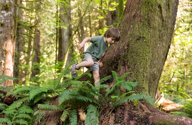 Young student exploring the forest at Camp Roslyn