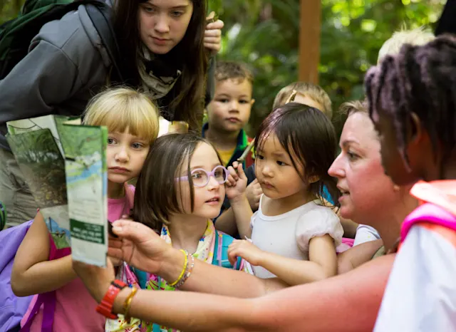 Preschoolers exploring the forest